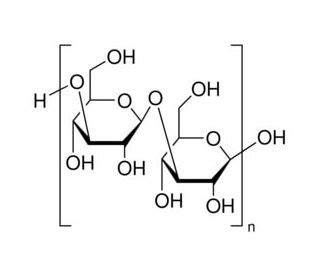1 3 beta glucan|β.